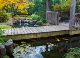 Bridge over swimming pond