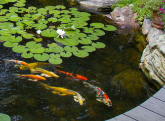 Bridge over swimming pond