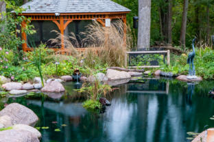 Large rocks with fish in a swimming pond